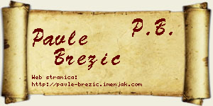 Pavle Brezić vizit kartica